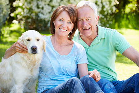 David M. Seidman, DDS