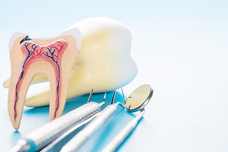 David M. Seidman, DDS